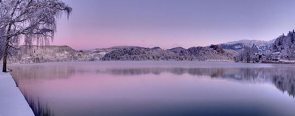 bled zimi